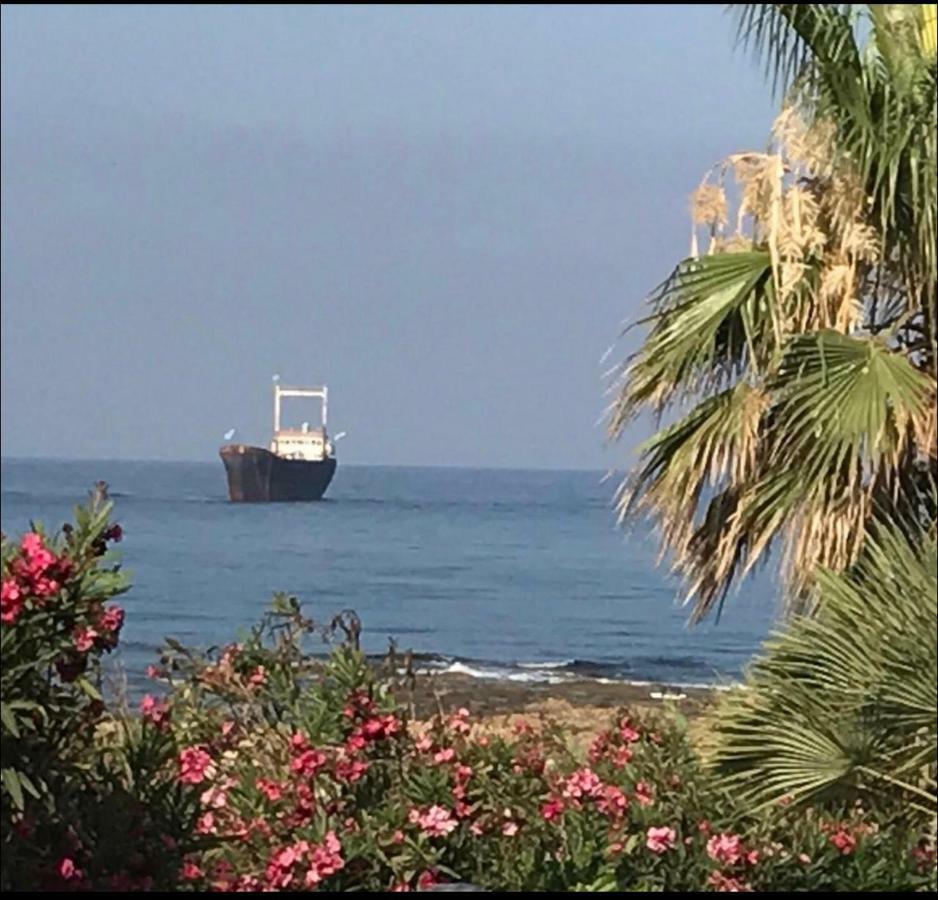34 Beach Villa Pafos Zewnętrze zdjęcie